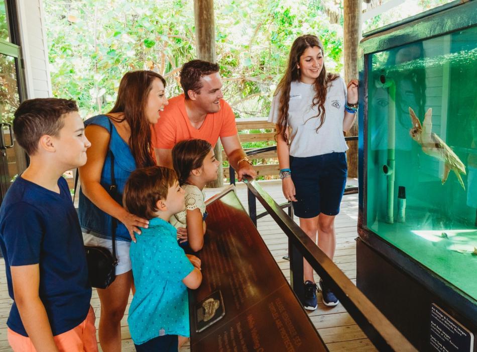 A family watches a turtle in an aquarium at John D. MacArthur Beach State Park.