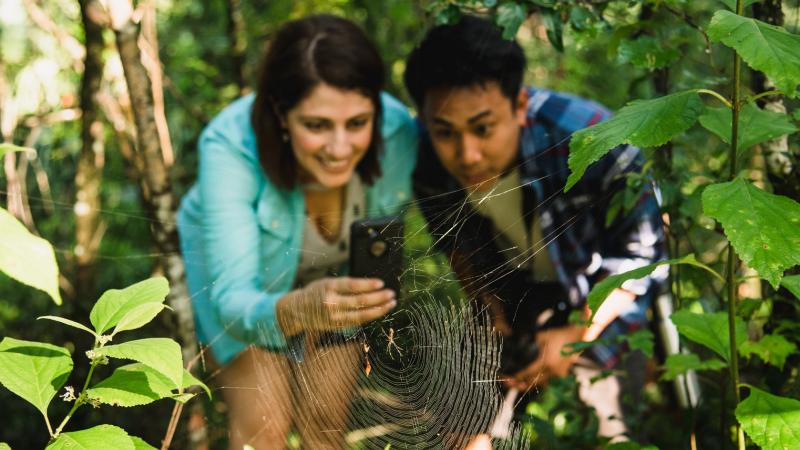 A couple leans in to take a picture of a spider and spider web in the foreground. 