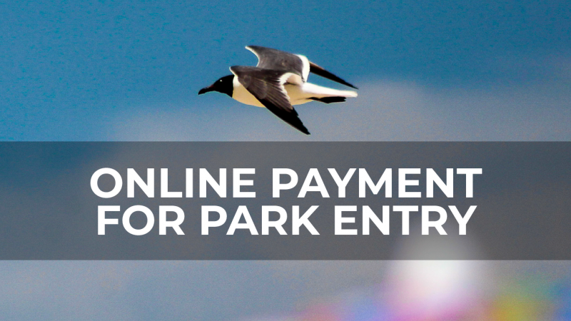Online Payments for Park Entry