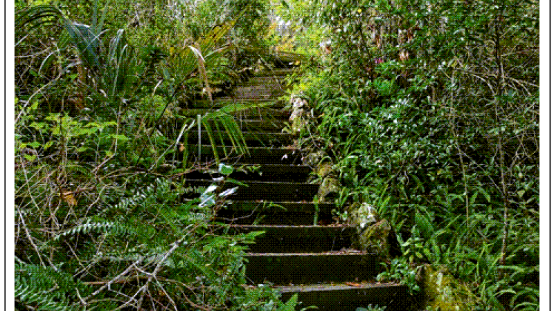 steps at Ravine Gardens